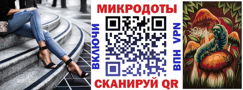 Псилоцибиновые грибы Psilocybe  Грозный 