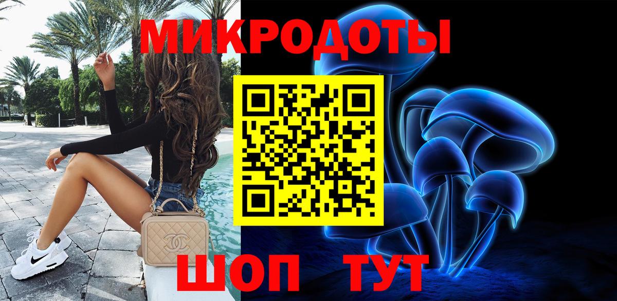 Галлюциногенные грибы Psilocybine cubensis  Грозный 