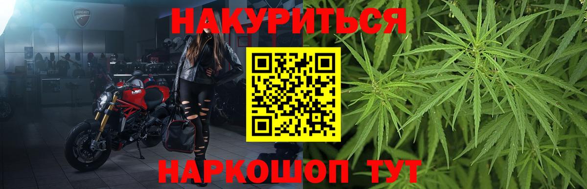 Конопля VHQ  Грозный  Конопля Bruce Banner  Бошки марихуана OG Kush  Марихуана конопля 
